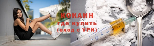 индика Балабаново
