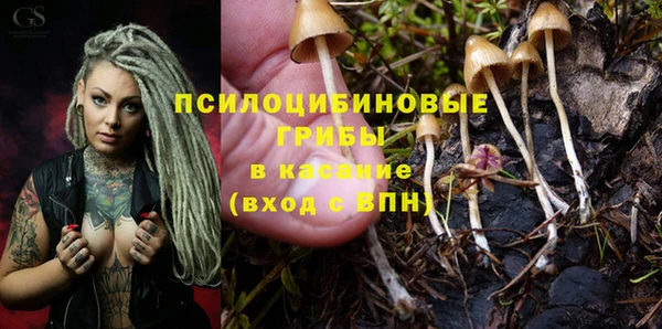 ПСИЛОЦИБИНОВЫЕ ГРИБЫ Баксан