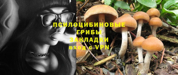 mdpv Арсеньев