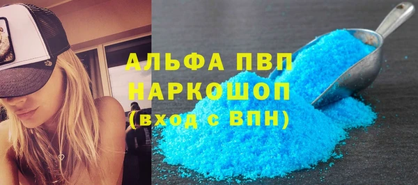 индика Балабаново